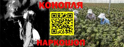 a pvp Ярославль
